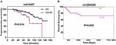 Genetic Variation in CCL5 Signaling Genes and Triple Negative Breast Cancer: Susceptibility and Prognosis Implications